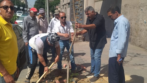 زراعة الأشجار 