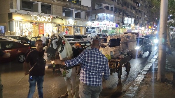 ضبط عربات كارو