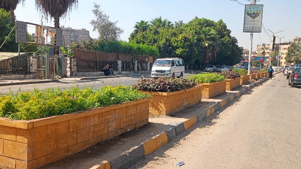 زراعة الأحواض بالنباتات