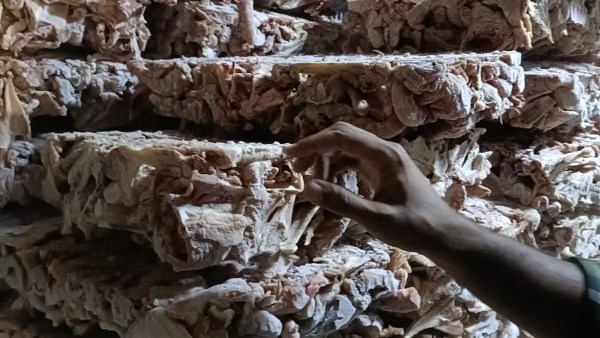 لحوم فاسدة 