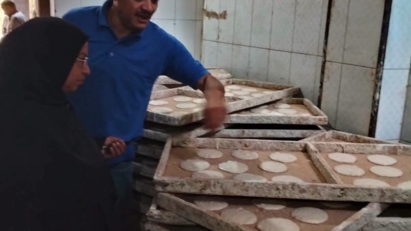 حملات تفتيشية 