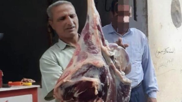 حملات تفتيشية 