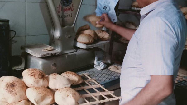 تموين بني سويف