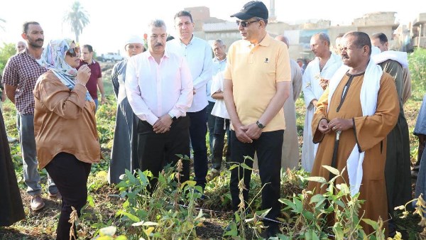 محافظ المنيا يشهد الحصاد 