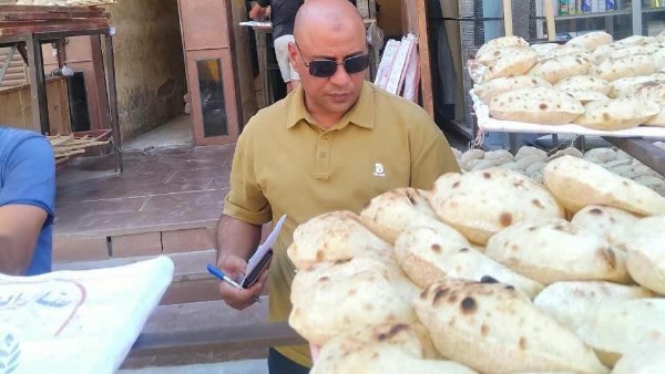 حملات تموينية متنوعة 