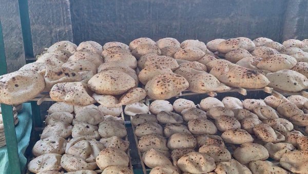 حملات تموينية بأسيوط 