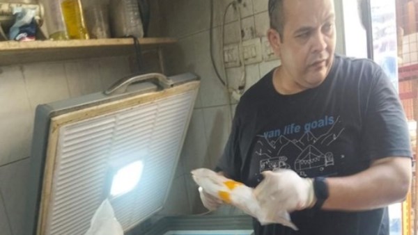 حملات الطب البيطري بأسيوط 