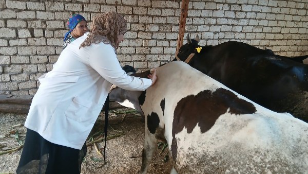 الحملة القومية للتحصين 