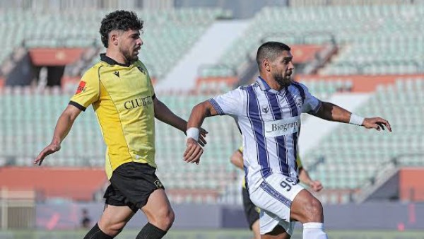 وادي دجلة والمقاولون العرب