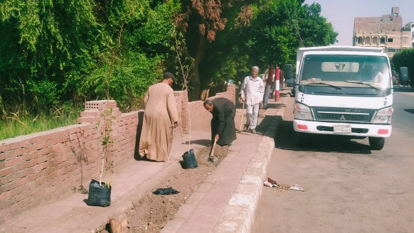 أعمال تشجير بقنا