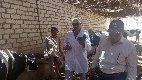 تحت رعاية المهندس عبد المطلب عمارة محافظ الأقصر،