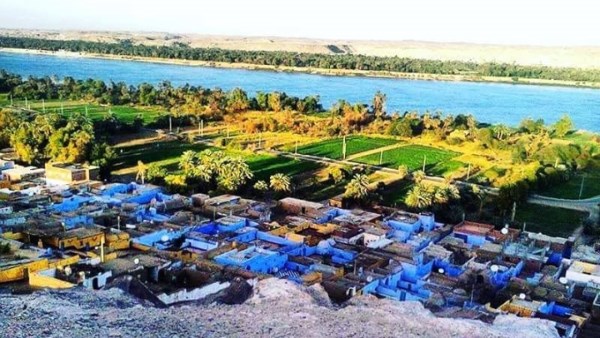 جهود متنوعة 