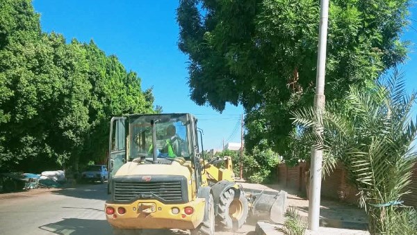جهود متنوعة