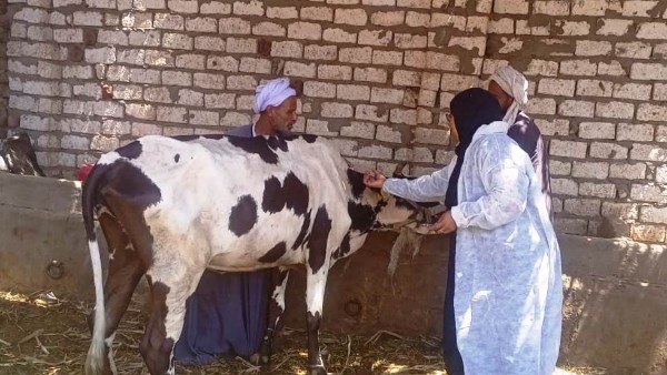 جهود متنوعة
