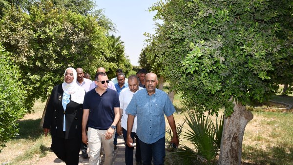جهود متنوعة