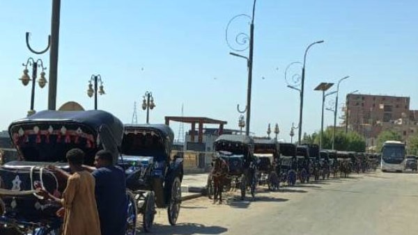 جهود متنوعة