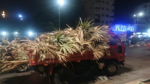 السيارة 