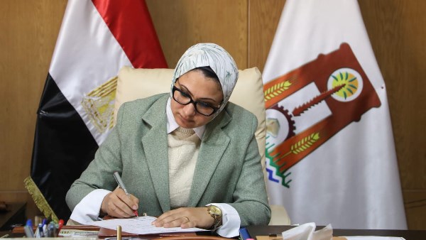 محافظ الوادي الجديد 