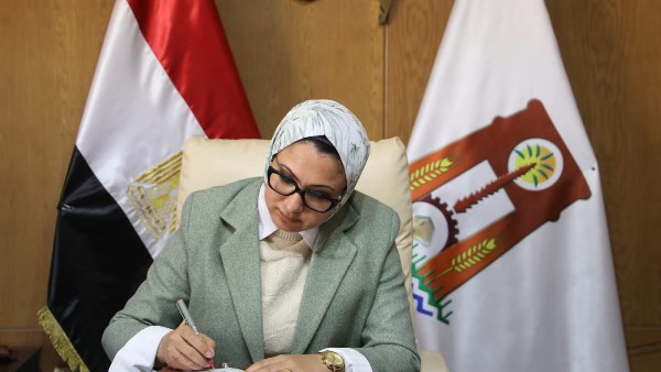 محافظ الوادي الجديد 