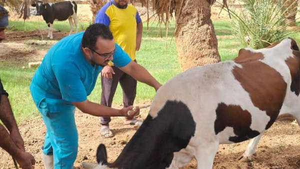 جانب من الحدث