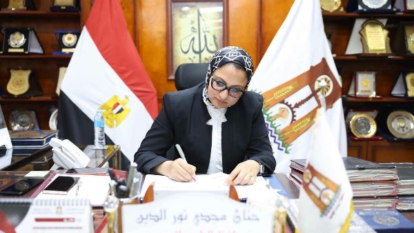 محافظ الوادي الجديد 