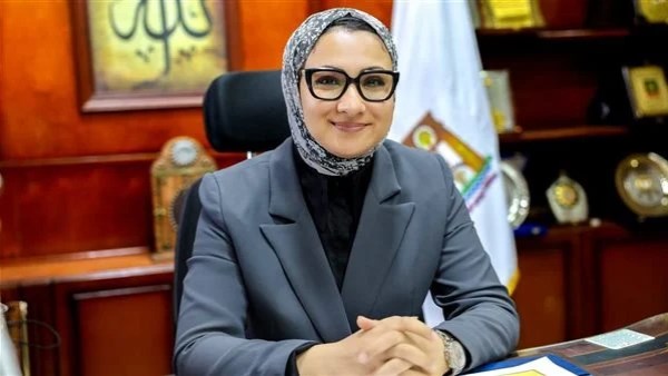 محافظ الوادي الجديد 