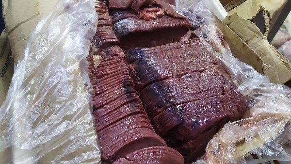 صورة ارشيفية