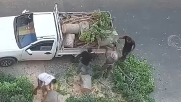 صورة من الفيديو