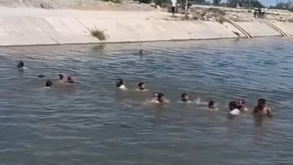خلال أعمال البحث   