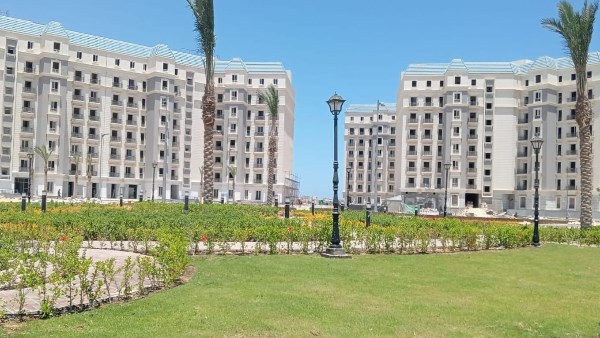 حظر قطع الأشجار 