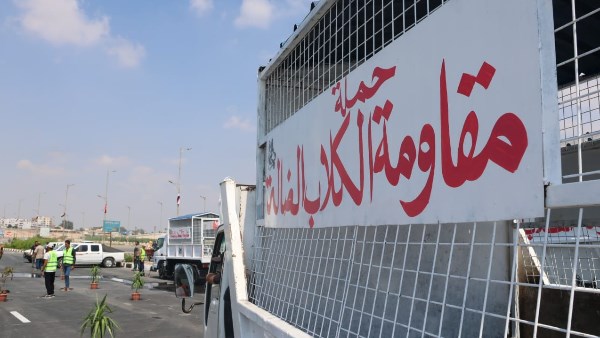 حملة مقاومة الكلاب 