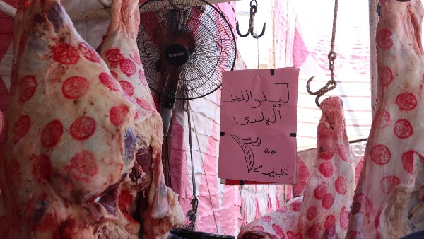 خلال المتابعة 