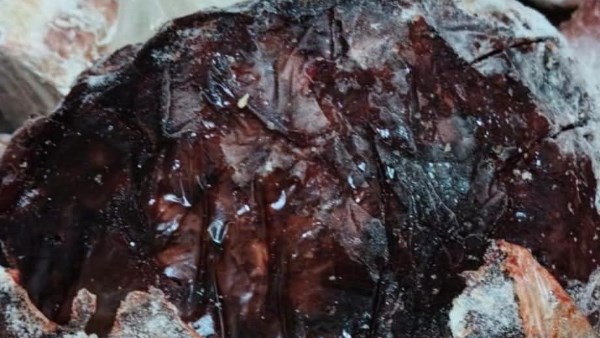 لحوم وكبدة فاسدة 