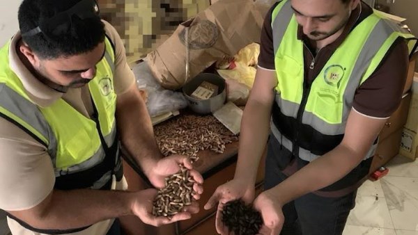 صناعة البن من نواة البلح بالغربية 