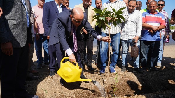 زراعة الأشجار بالغربية 