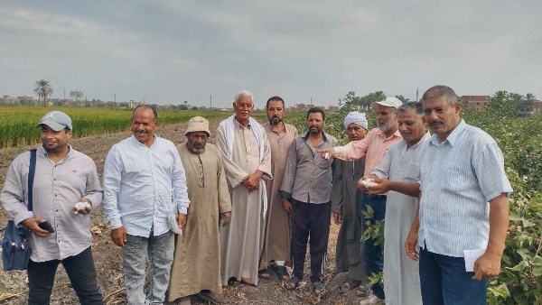 زراعة الشرقية