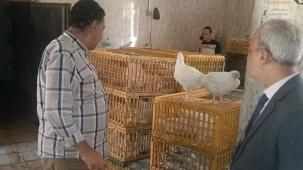 محافظ الشرقية