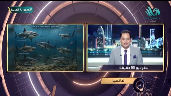 البرنامج