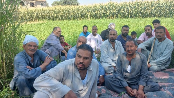 الزراعة التعاقدية