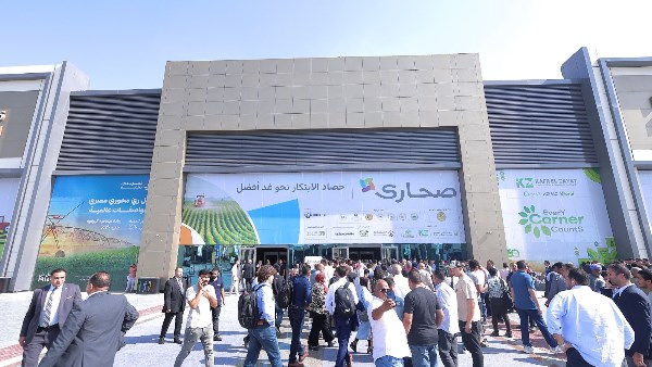 معرض صحاري