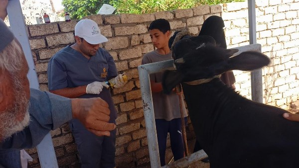 قافلة بيطرية مجانية بأسيوط