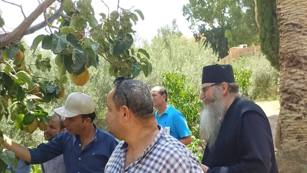 الزراعة