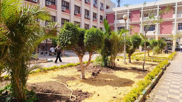 كلية تجارة جامعة عين شمس