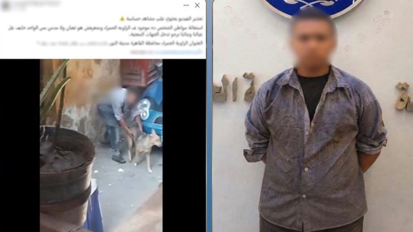 المتهم