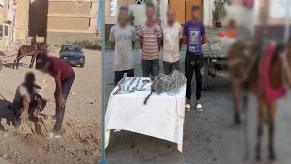 المتهمين