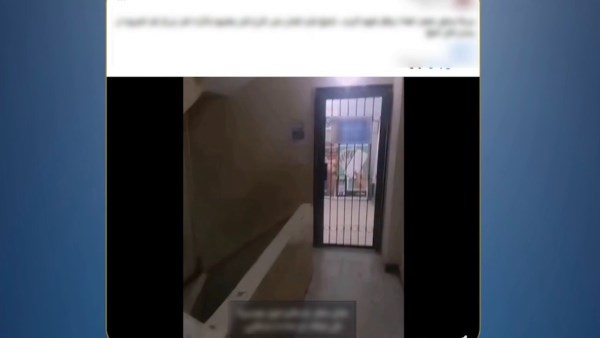 المنشور 