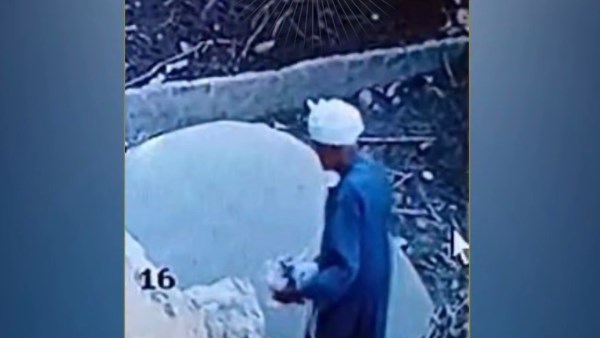 الواقعة