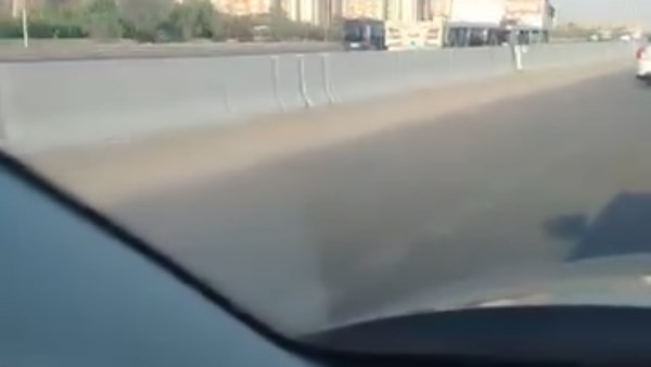 الواقعة