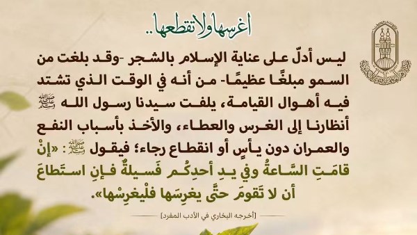 مركز الأزهر للفتوى يعلق على ظاهرة قطع الأشجار