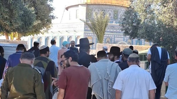 أرشيفي